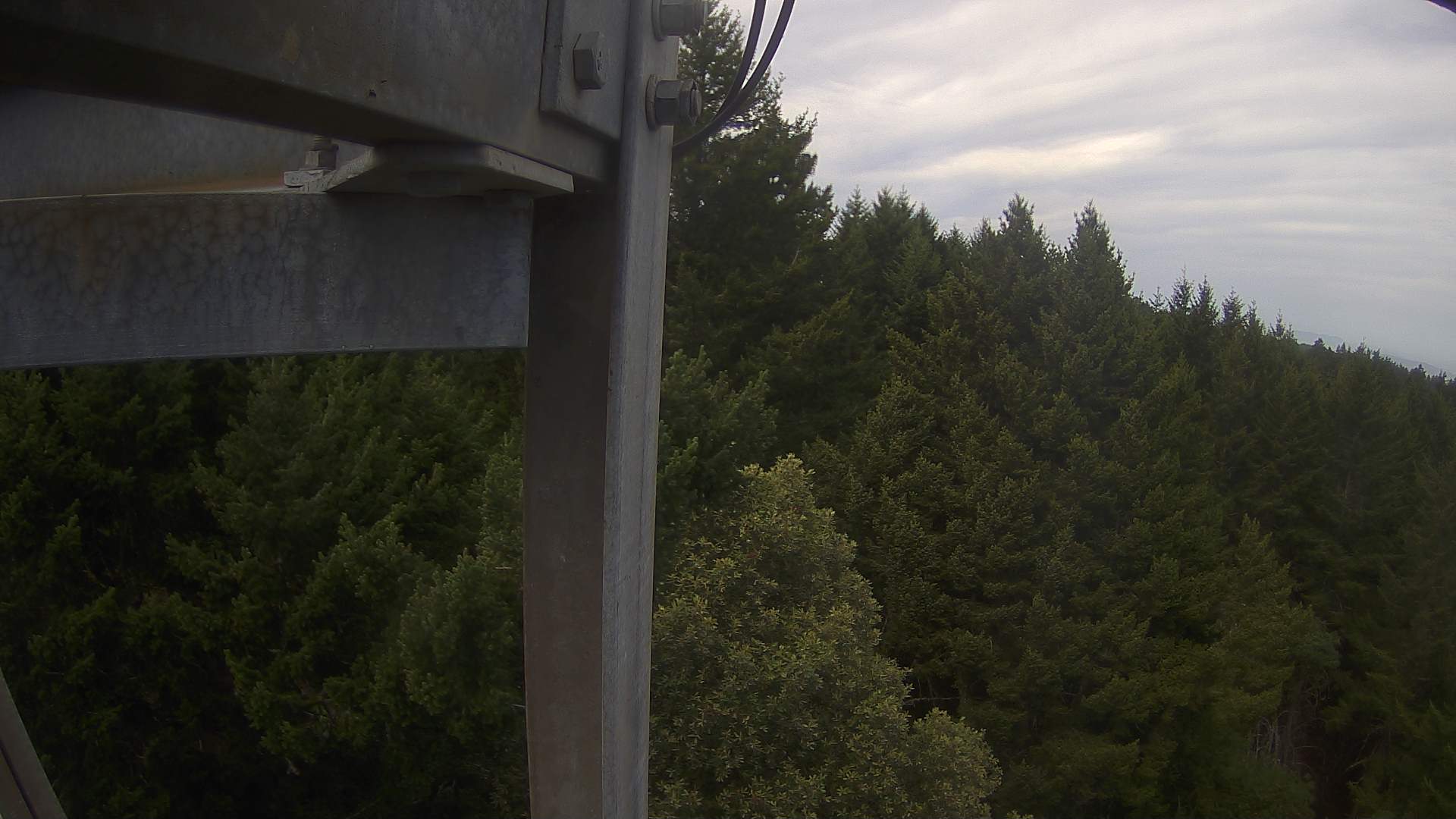 Cam 2: East Ridge (Silicon Valley & East Bay)